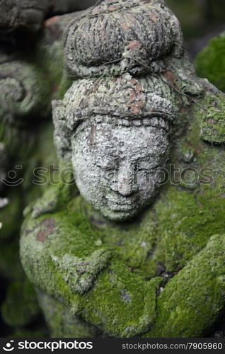 a garden and Buddha terracota of Mr Ban Phor Linag Meuns Terracota Art in the city of chiang mai in the north of Thailand in Southeastasia. &#xA;&#xA;&#xA;