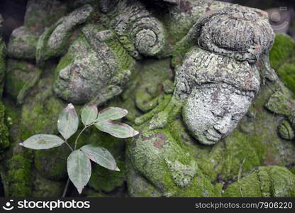 a garden and Buddha terracota of Mr Ban Phor Linag Meuns Terracota Art in the city of chiang mai in the north of Thailand in Southeastasia. &#xA;&#xA;&#xA;