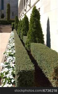 A garden in the courtyard of the Australian War Memorial, Canberra, Australia
