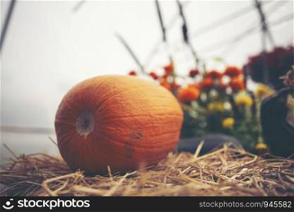 A giant pumpkin sits on the grass at a local produce farm. In the background is a farm wagon loaded with pumpkins and gourds