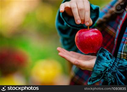 A girl holding a red apple in her hands in the autumn garden on a blurred background, place for text. Harvesting organic apples.. A girl holding a red apple in her hands in the autumn garden on a blurred background