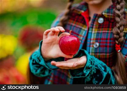 A girl holding a red apple in her hands in the autumn garden on a blurred background, place for text. Harvesting organic apples.. A girl holding a red apple in her hands in the autumn garden on a blurred background