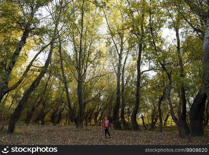 A girl in a forest of poplars. Walk in the autumn forest.. A girl in a forest of poplars. Walk in the autumn forest