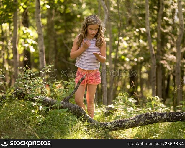A girl wandering in woods