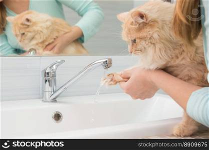 A girl washes a cat&rsquo;s paw under a stream of water from a washbasin mixer in the bathroom