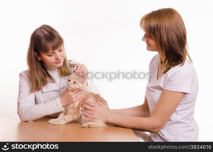 A girl with a red cat at a reception at the vet