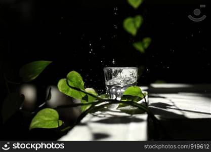 a glass of water on a dark background among the green leaves. Eco concept. Spilled Water from Glass. drops of water on a black background. a glass of water on a dark background among the green leaves. Spilled Water from Glass. drops of water on a black background. Eco concept