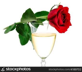 a glass of white wine with rose