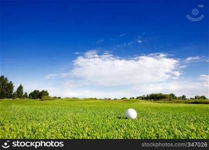 A golf ball on a fairway on a golf couse