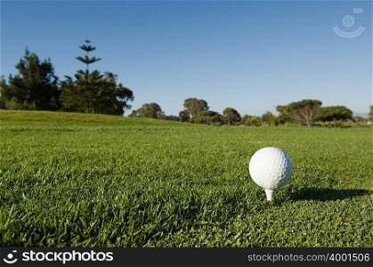 A golf ball on a tee