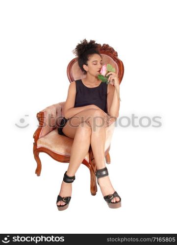 A gorgeous multi-racial woman sitting in a short summer dress in an old armchair, with a pink rose in her hand and her curly black hair, isolatedfor white background
