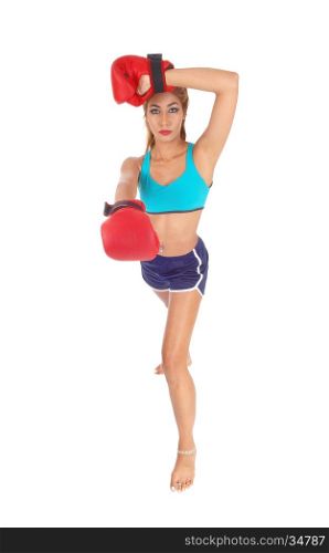 A gorgeous young woman in exercise outfit with red boxing clovesstanding in full length isolated for white background.
