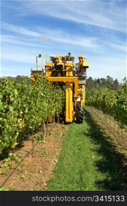 A grape harvester in a vineyard on the Southern Highlands of New South Wales, Australia