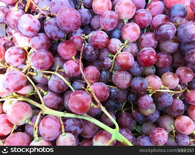 A Grape Is A Fruit, Botanically A Berry, Of The Deciduous Woody Vines Of The Flowering Plant Genus Vitis.