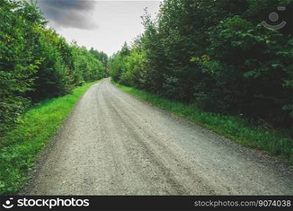 A gravel road through a green dense deciduous forest, moody view