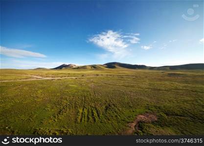 A green plains with mountain landscape in the background against a blue sky at Tibetan Plateau