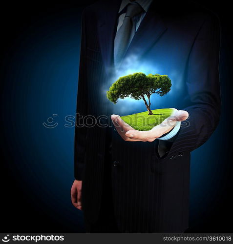 A green tree in the hand of a businessman