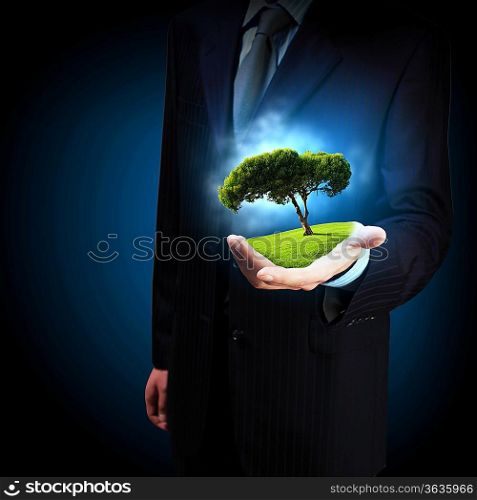 A green tree in the hand of a businessman