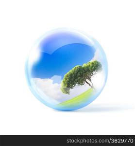 A green tree inside a transparent glass sphere