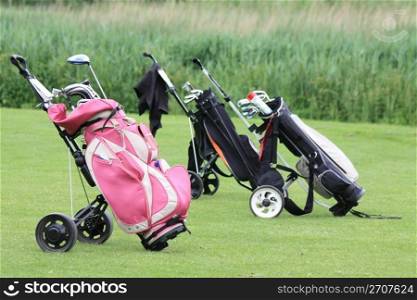 A group of golfbags with clubs on the green
