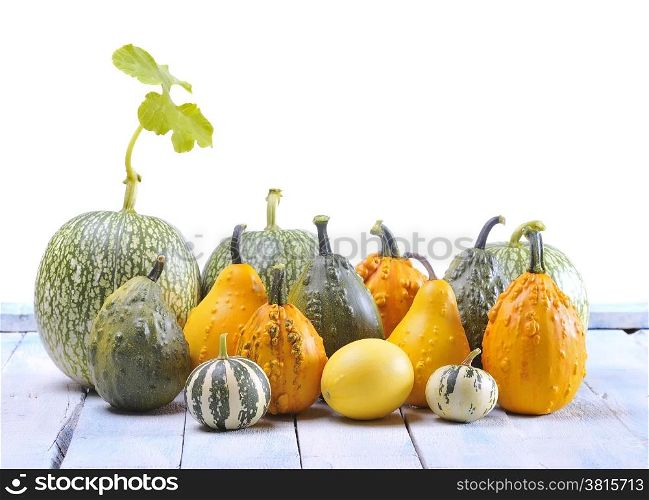 A group of isolated pumpkins on white background.