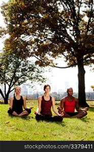 A group of people meditation in a city park