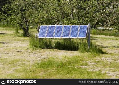A group of solar cells in front of a green background formed from grass and trees on a remote, off-grid island in Washington State.