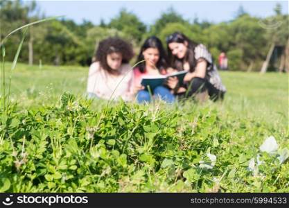 A group of students relaxing at the park - Selective focus on the grass