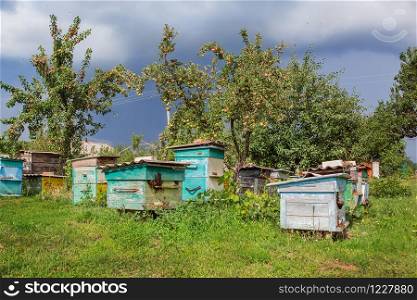A group of swarm of bees on an old wooden beehive in a farm garden. Apiary, swarm, sheltered from the wind and with a good stay in the sun.. A group of swarm of bees on an old wooden beehive in a farm garden. Apiary, swarm, sheltered from the wind and with a good stay.