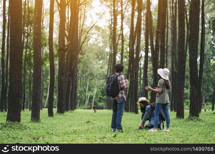 A group of travelers talking to each other while hiking in a beautiful pine woods