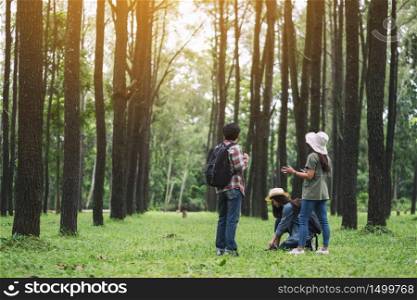A group of travelers talking to each other while hiking in a beautiful pine woods