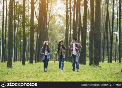 A group of travelers walking and looking into a beautiful pine woods