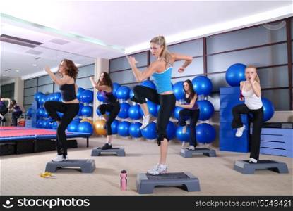 A group of women exercising in the fitness club.