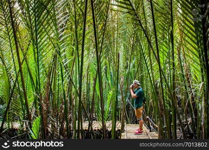 A guy explored mangrove forest full of Nipa palm in Thailand.