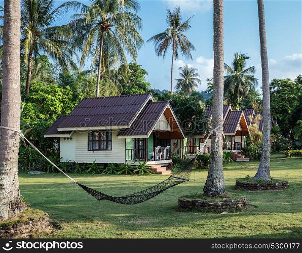 A hammock between palm trees on the lawn in a tropical garden