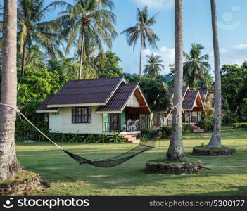 A hammock between palm trees on the lawn in a tropical garden
