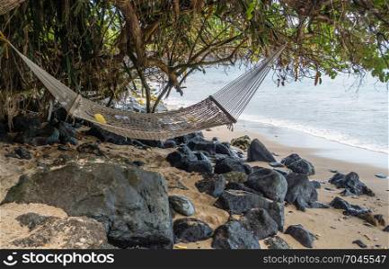 A hammock hangs from a tree on the shore in Kahana on Maui, Hawaii.