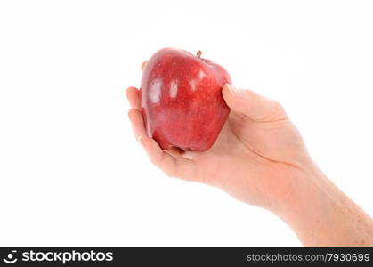 A Hand Holding a Red Apple on White - Health and Diet Theme