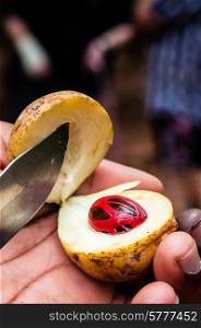 A hand holding the fruit of a nutmeg tree after cutting it open with a knive to reveal the seed and the mace to onlookers in the background.