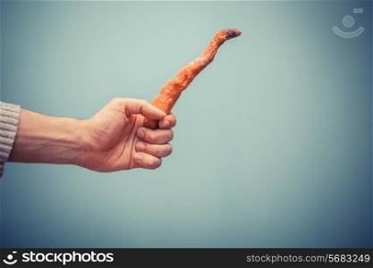 A hand is holding a rotten carrot