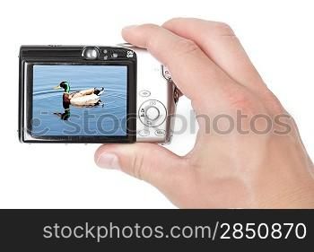 A hand taking digital pictures