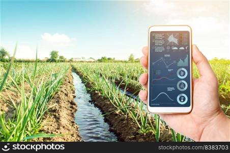 A hand with a phone and a leek onion plantation Landscape. Agribusiness. Conservation of water resources and pollution reduction. Caring for plants, growing food. High technologies in agriculture.