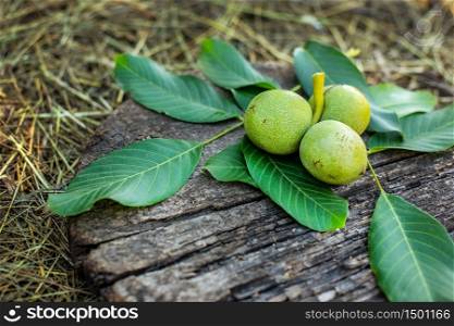 A handful of green young walnuts on a wooden background Nuts with shell and walnuts in green peel.. A handful of green young walnuts on a wooden background