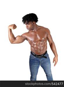 A handsome young African man standing in jeans and shirtless flexing his biceps with his curly black hair, isolated for white background