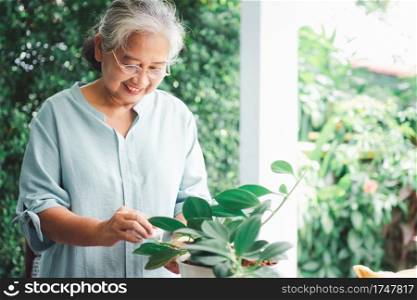 A happy and smiling Asian old elderly woman is planting for a hobby after retirement in a home. Concept of a happy lifestyle and good health for seniors.