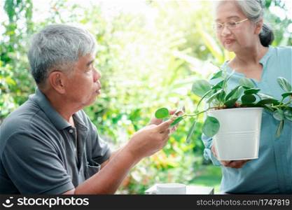 A happy and smiling Asian old elderly woman is planting for a hobby after retirement with her husband. Concept of a happy lifestyle and good health for seniors.