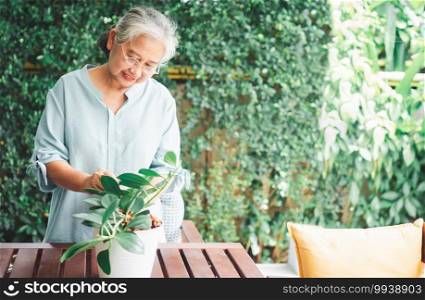 A happy and smiling Asian old elderly woman is planting for a hobby after retirement in a home. Concept of a happy lifestyle and good health for seniors.