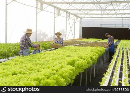 A happy farmer family working in hydroponic greenhouse farm, clean food and healthy eating concept. Happy farmer family working in hydroponic greenhouse farm, clean food and healthy eating concept