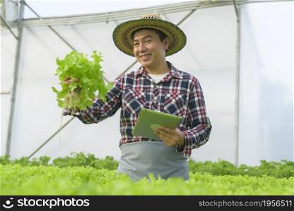 A happy male farmer working using tablet in hydroponic greenhouse farm, clean food and healthy eating concept. Happy male farmer working using tablet in hydroponic greenhouse farm, clean food and healthy eating concept