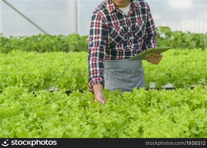 A happy male farmer working using tablet in hydroponic greenhouse farm, clean food and healthy eating concept. Happy male farmer working using tablet in hydroponic greenhouse farm, clean food and healthy eating concept